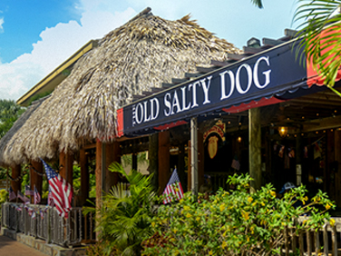 The Old Salty Dog