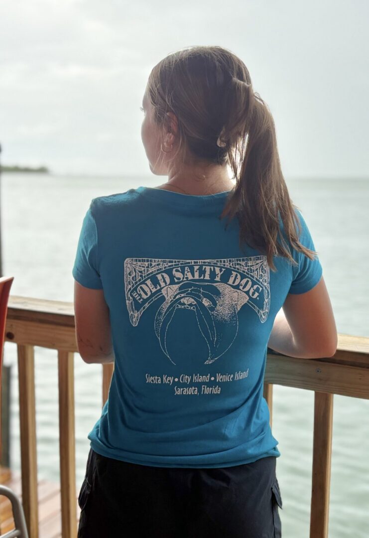 Ladies V-Necks - Image 6