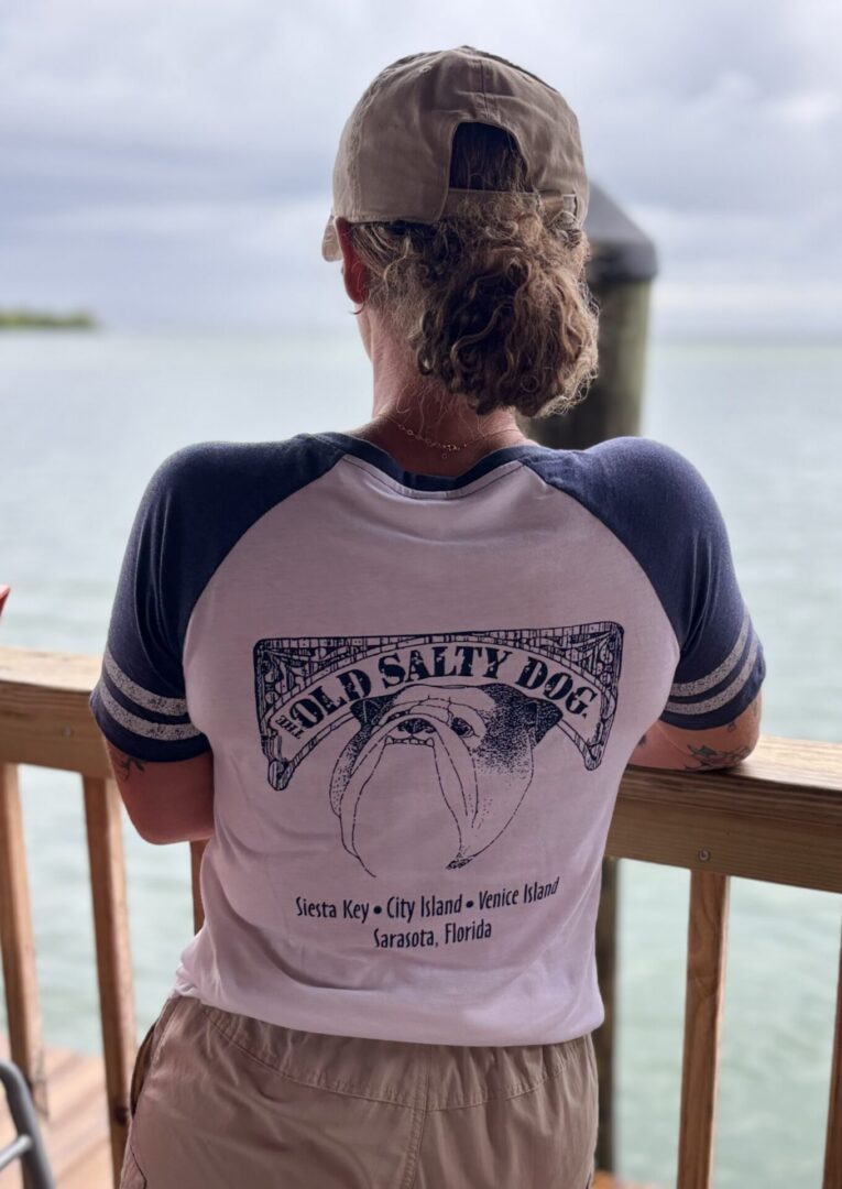 Ladies V-Necks - Image 2