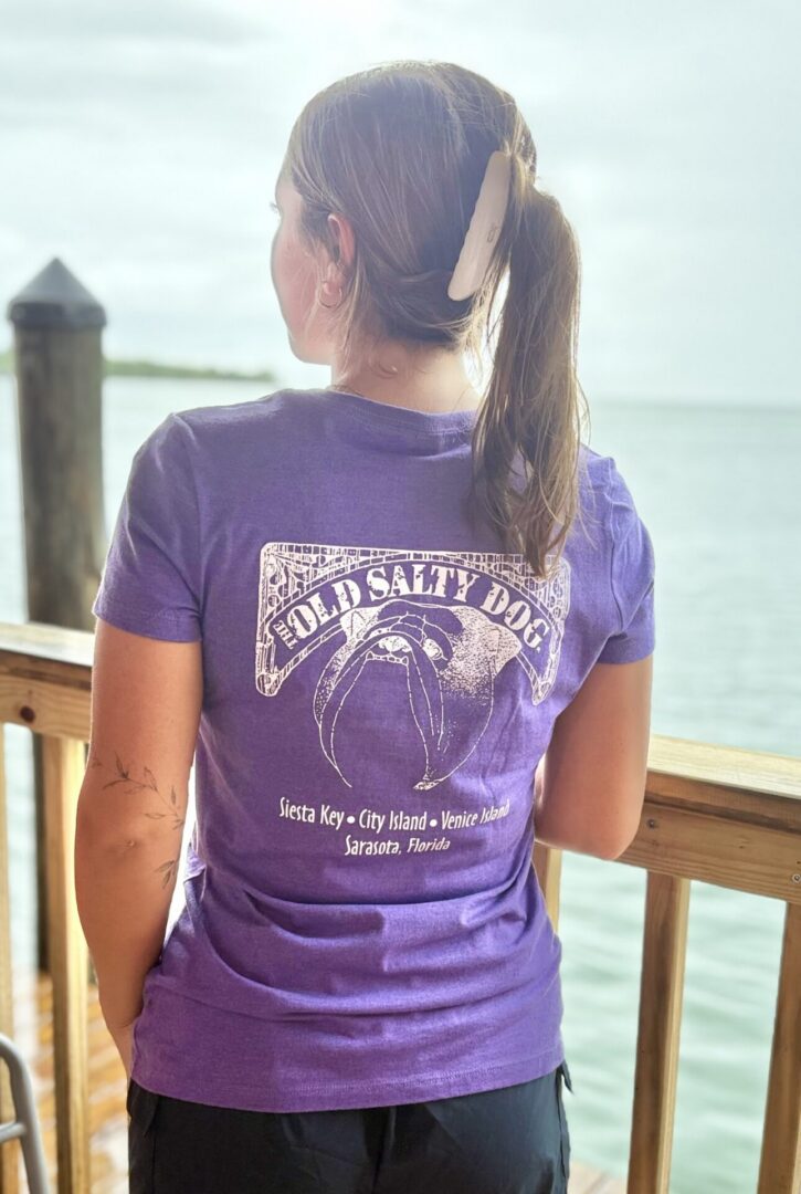 Ladies V-Necks - Image 5